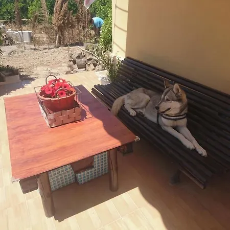 Casita Entre Naranjas بيت للعطل