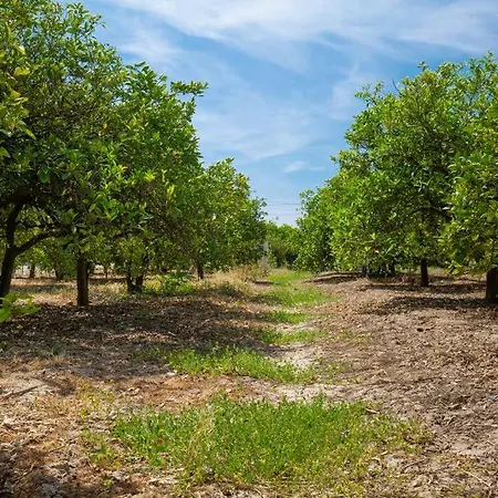 Casita Entre Naranjas